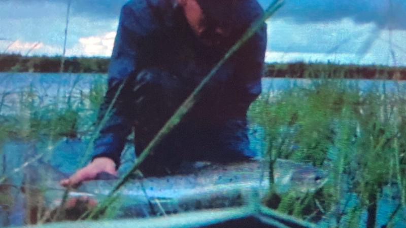 Laks caught 2023-07-17