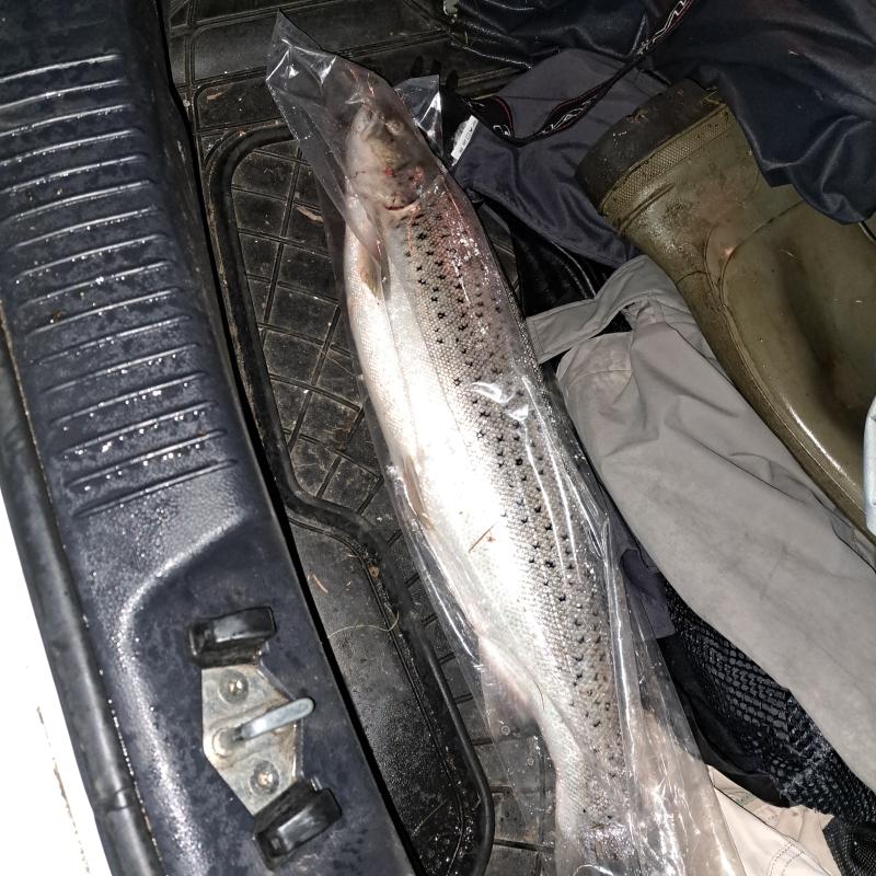 Nedre Karup Å - Fra Hagebro til udløb i Skive Fjord-John Kaastrup